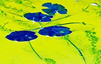 N 062F